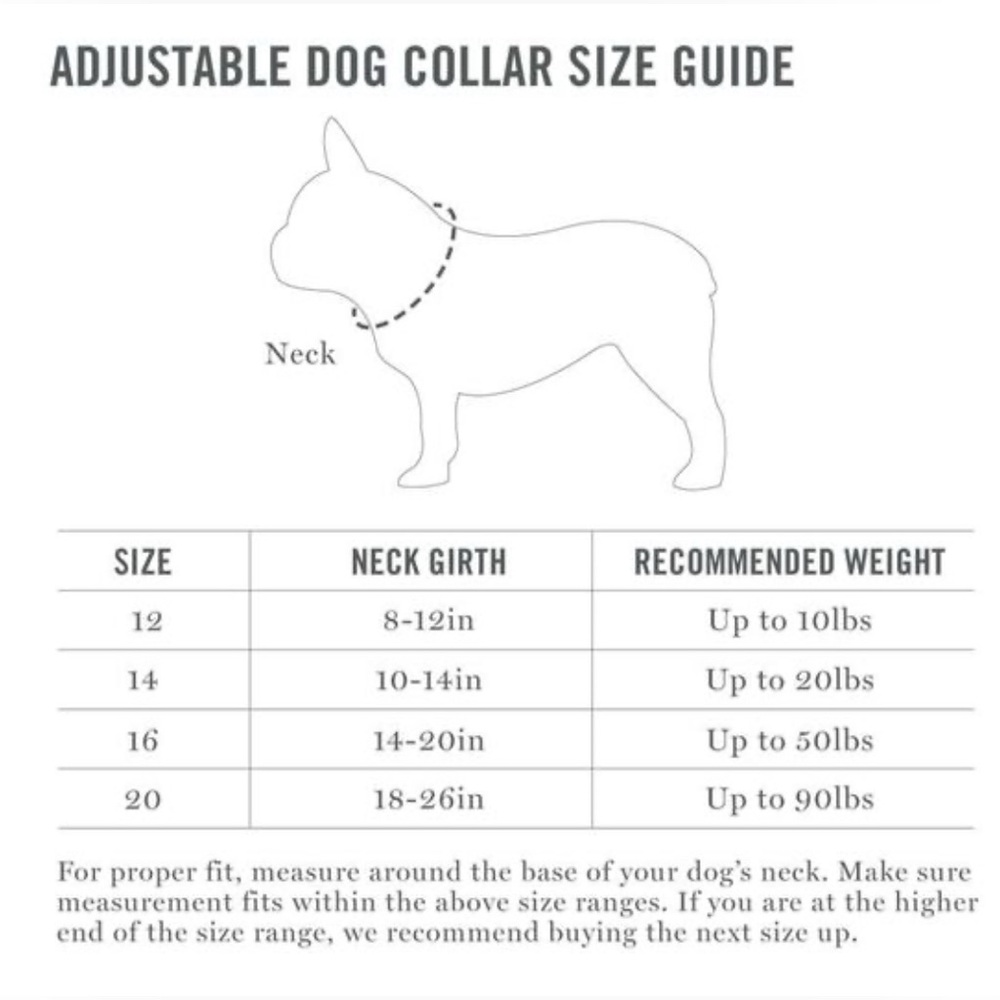 NWT [Martha Stewart] Adjustable Nylon Dog Collar in Bowtie Tan, Multiple Sizes! - Picture 10 of 10